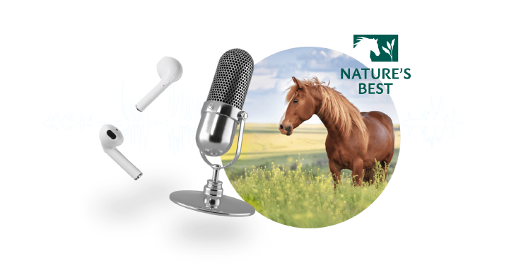 RAIF Markenwelt NB Podcastbanner 2000x1072px